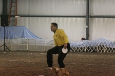 Enlarge photo 43