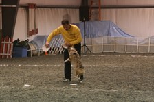 Enlarge photo 44