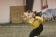 Enlarge photo 47