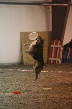 Enlarge photo 49