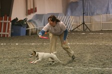 Enlarge photo 53