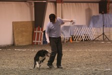 Enlarge photo 77