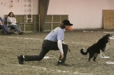 Enlarge photo 80