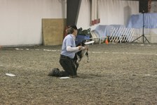 Enlarge photo 81