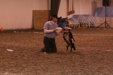 Enlarge photo 83
