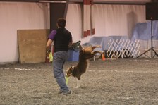 Enlarge photo 86