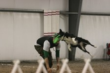 Enlarge photo 103