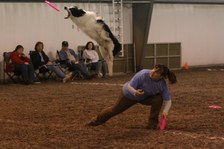 Enlarge photo 110