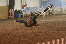 Enlarge photo 114