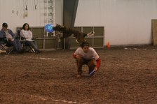 Enlarge photo 118