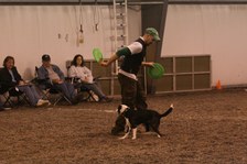 Enlarge photo 120