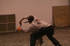 Enlarge photo 129