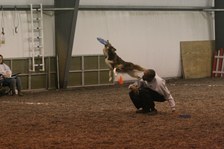 Enlarge photo 131