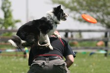 Enlarge photo 29