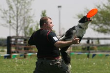 Enlarge photo 30