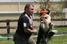 Enlarge photo 33