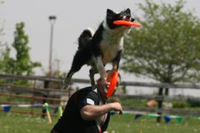 Enlarge photo 39