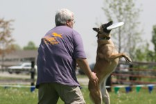 Enlarge photo 48