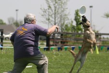Enlarge photo 50