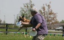 Enlarge photo 55