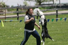 Enlarge photo 59