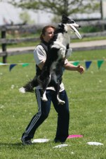 Enlarge photo 60