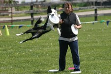Enlarge photo 62