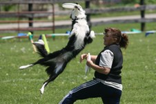 Enlarge photo 64