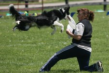 Enlarge photo 65