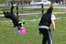 Enlarge photo 67