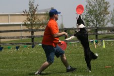 Enlarge photo 72
