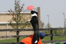 Enlarge photo 78