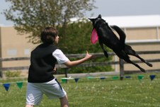 Enlarge photo 83
