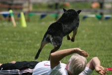 Enlarge photo 96