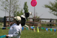 Enlarge photo 100