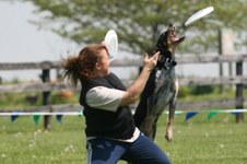 Enlarge photo 106