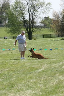 Baddogs Midway event