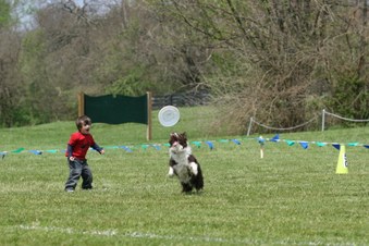 Enlarge photo 12
