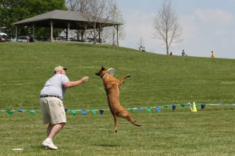 Enlarge photo 20
