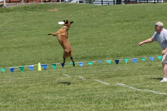 Enlarge photo 23
