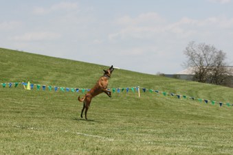 Enlarge photo 24