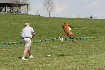 Enlarge photo 25