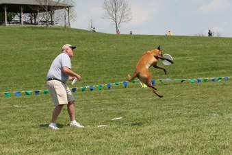 Enlarge photo 26