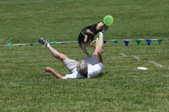 Enlarge photo 39