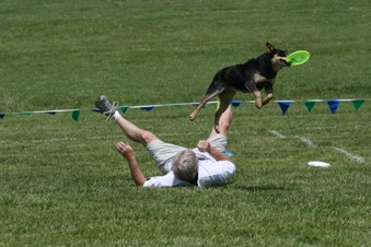 Enlarge photo 40