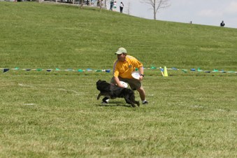 Enlarge photo 41