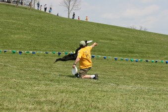 Enlarge photo 42