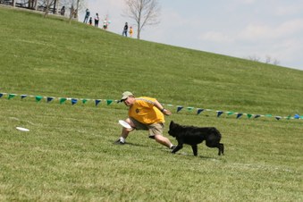 Enlarge photo 44