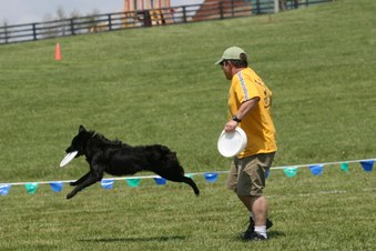 Enlarge photo 49