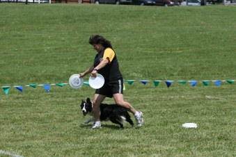 Enlarge photo 53